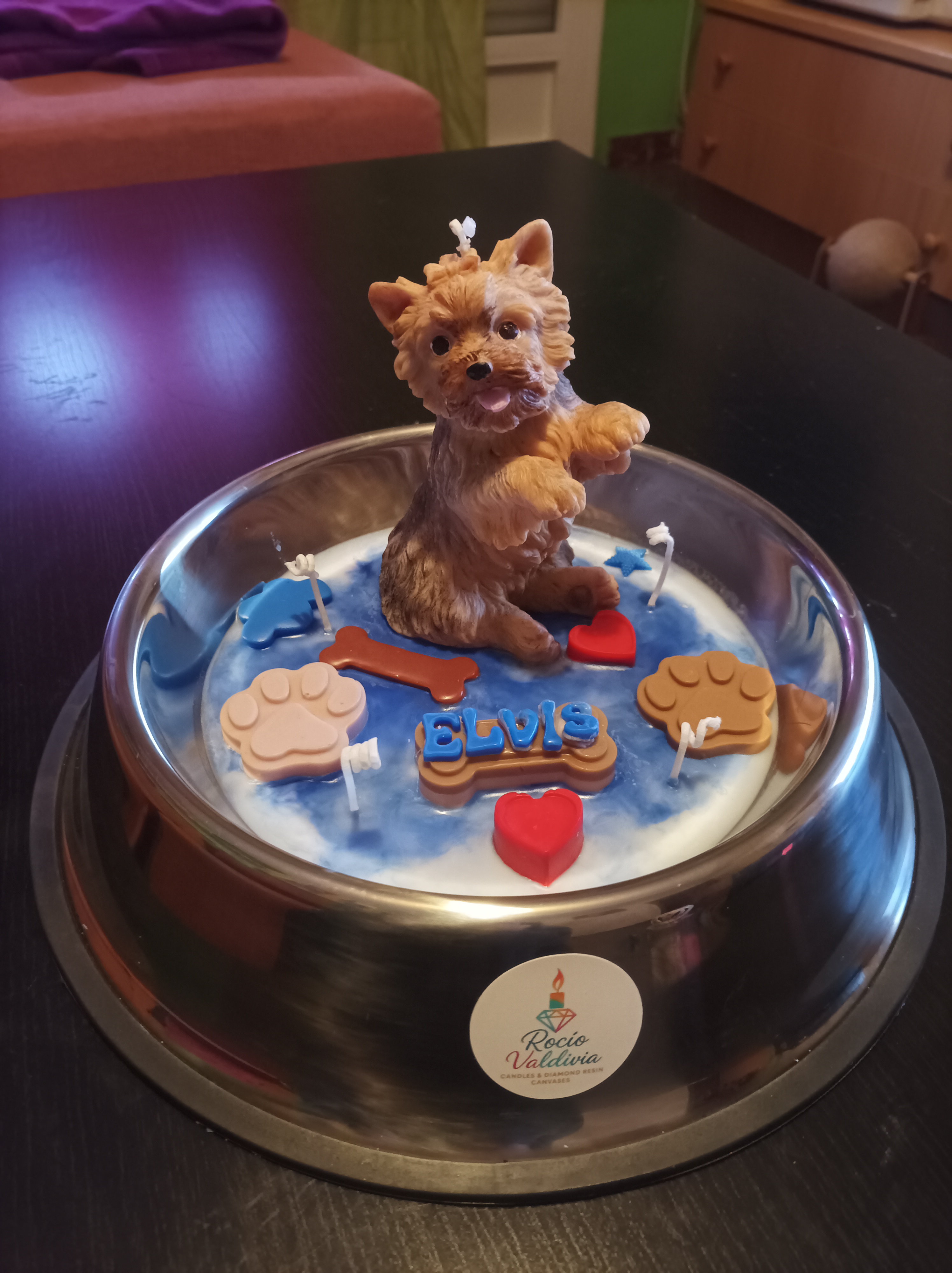 Yorkshire terrier