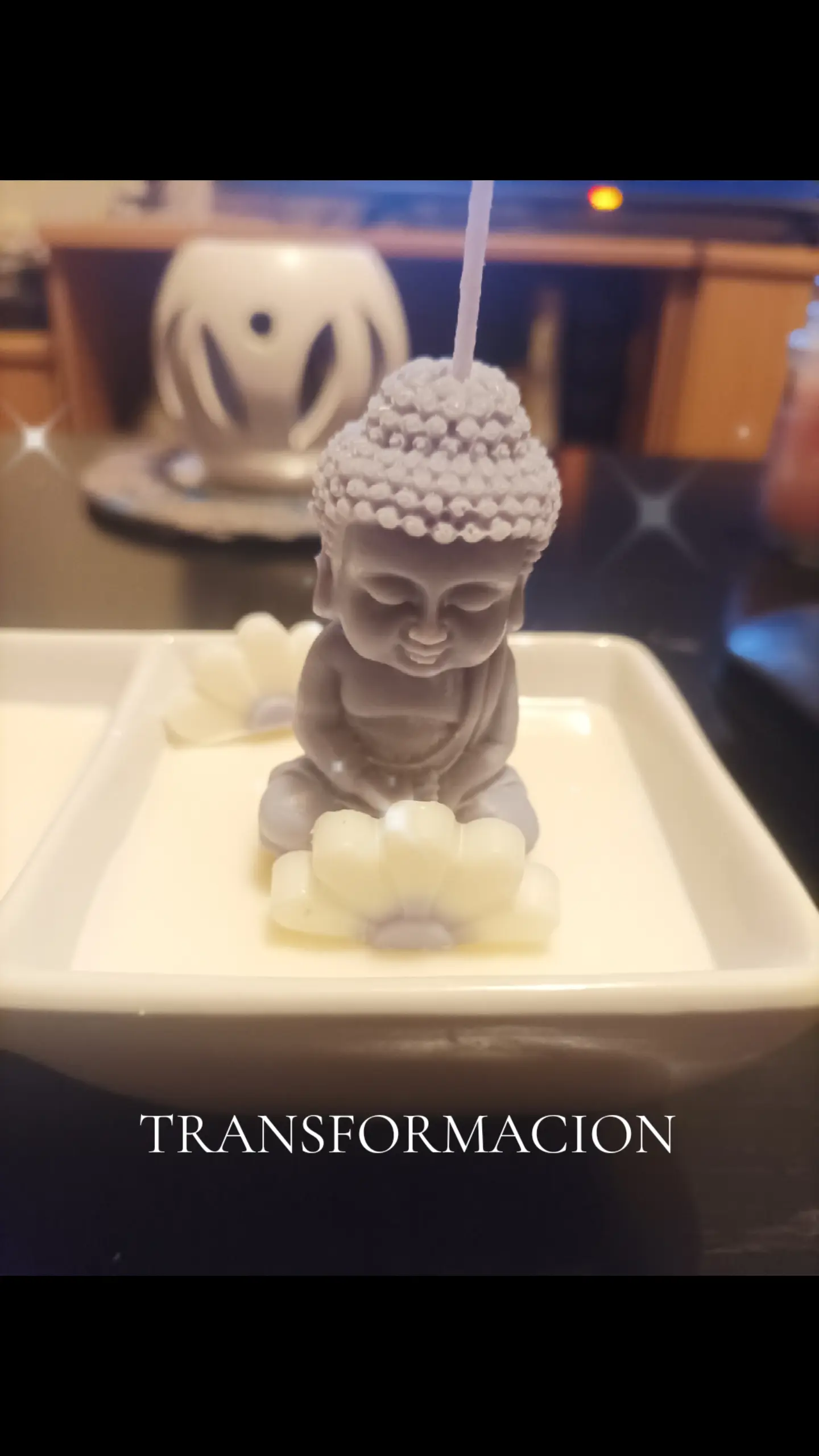Buda Transformación